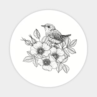 Wren on a dog rose, black and white Magnet